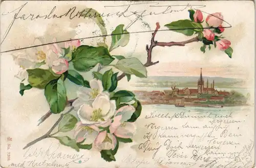 Ansichtskarte  Windmühlen (Gebäude) Botanik :: Blumen Künstlerkarte 1907