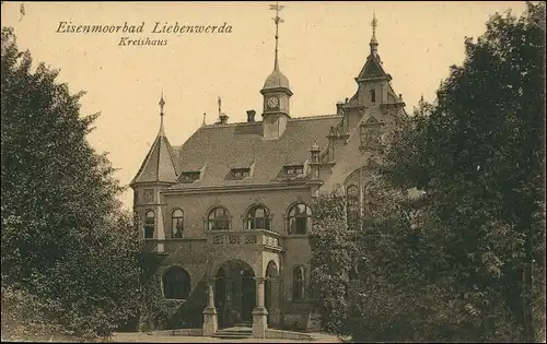 Ansichtskarte Bad Liebenwerda Eisenmoorbad Kreishaus 1918