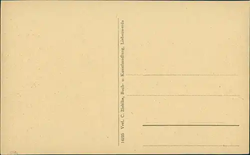 Ansichtskarte Bad Liebenwerda Eisenmoorbad Kreishaus 1918