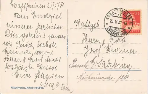 Neuhausen  Rheinfall Rhein Wasserfall River Falls 1931    Stempel SCHAFFHAUSEN