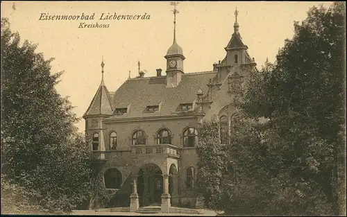 Ansichtskarte Bad Liebenwerda Eisenmoorbad Kreishaus 1918