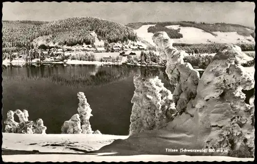 Titisee-Neustadt Titisee (Schwarzwald) Verschneite Landschaft 1963
