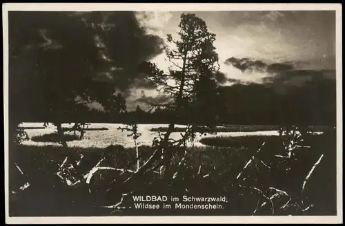 Ansichtskarte Bad Wildbad Wildsee im Mondenschein 1940
