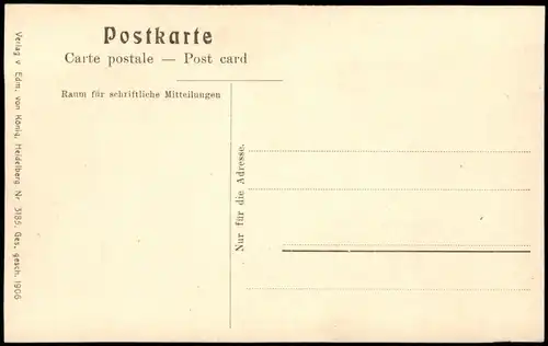 Ansichtskarte Bacharach Panorama-Ansicht; Orts-Teilansicht 1906