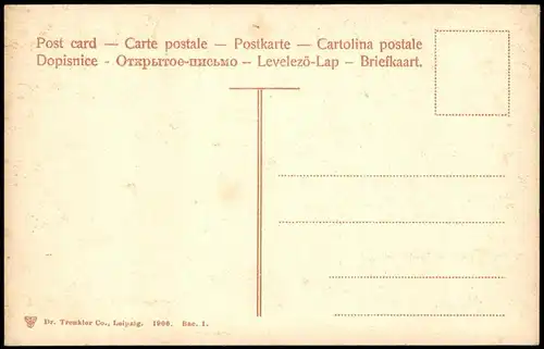 Ansichtskarte Bacharach Panorama-Ansicht; Blick ins Rhein Tal 1906