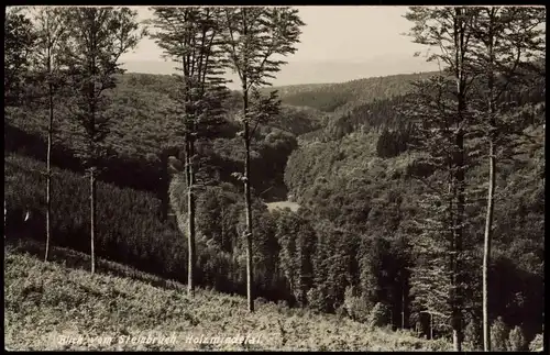 Neuhaus im Solling-Holzminden Blick vom Steinbruch Holzmindetal 1960