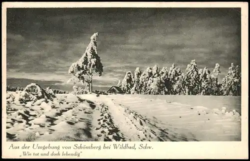 Schömberg (Schwarzwald) Umland-Ansicht Verschneiter Schwarzwald 1940