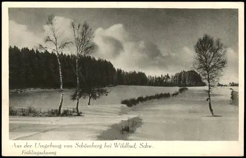 Schömberg (Schwarzwald)  Frühlingsahnung  Schwarzwald, Stimmungsbild 1940