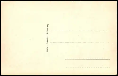 Schömberg (Schwarzwald)  Frühlingsahnung  Schwarzwald, Stimmungsbild 1940