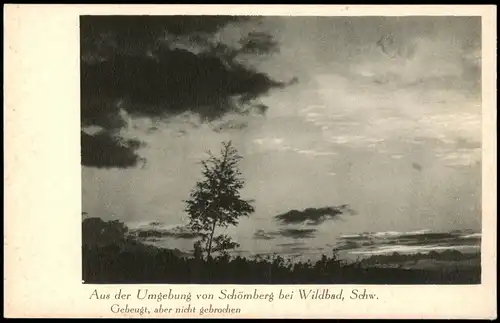 Schömberg (Schwarzwald) Umgebungs Schwarzwald Stimmungsbild 1940