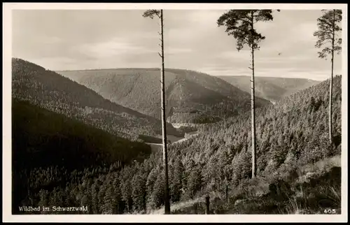 Ansichtskarte Bad Wildbad Umland-Ansicht Schwarzwald 1940