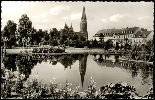 Ansichtskarte Freiburg im Breisgau Stadtgarten-Anlagen und Münster 1960
