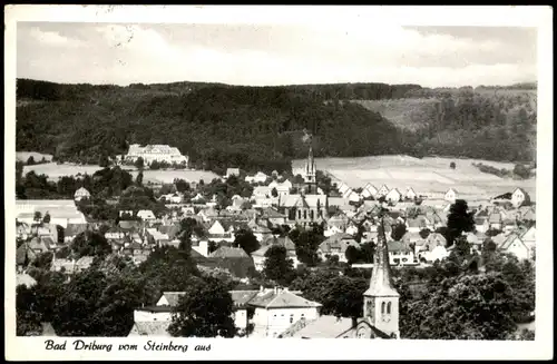 Ansichtskarte Bad Driburg Panorama-Ansicht Blick vom Steinberg aus 1956