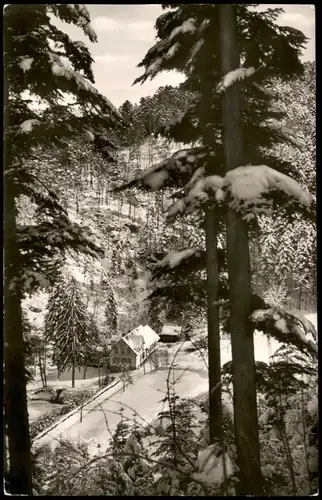 Ansichtskarte Badenweiler Bergmannsruhe, Umland-Ansicht 1960