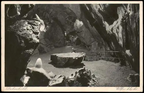 Ansichtskarte Grüne-Iserlohn Dechenhöhle Wolfsschlucht 1928