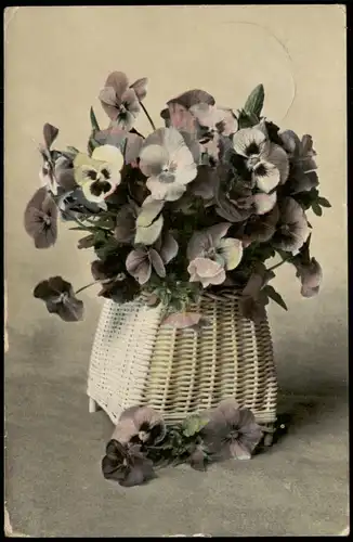 Ansichtskarte  Blumen (Bild) - Stiefmütterchen Bouquett 1912