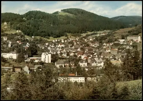 Ansichtskarte Bad Laasphe Panorama-Ansicht 1974