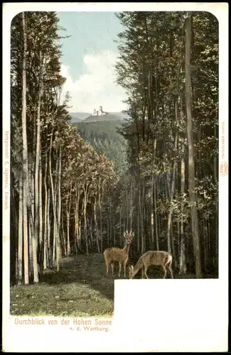 Ansichtskarte Eisenach Durchblick von der Hohen Sonne - Rehe 1904