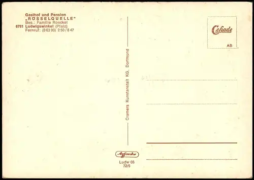 Ludwigswinkel Ortsansichten Mehrbild-AK mit Gasthof RÖSSELQUELLE 1972