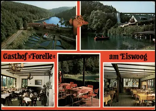 Ansichtskarte Eiswoog Mehrbildkarte Gasthof Forelle am Eiswoog 1980