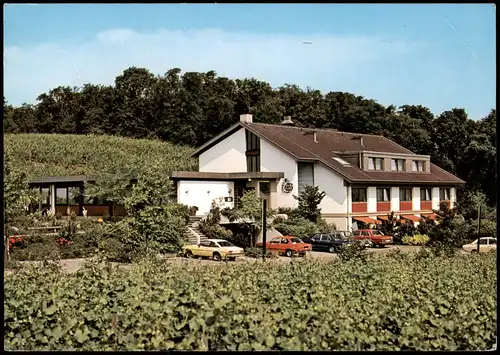 Bischoffingen-Vogtsburg im Kaiserstuhl Weinstube Steinbuck mit Gästehaus   1983