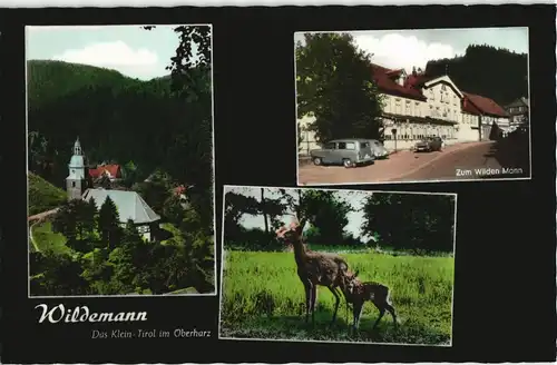 Ansichtskarte Wildemann (Innerstetal) Stadt, zum wilden Mann, Rehe 1964