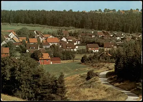 Ansichtskarte Buntenbock Panorama-Ansicht, Teilansicht 1981/1978