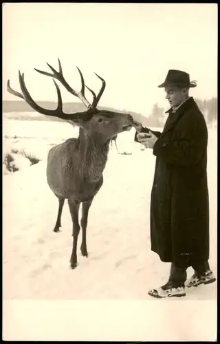 Ansichtskarte Goslar Umland-Ansicht Jäger und Hirsch im Winter 1968