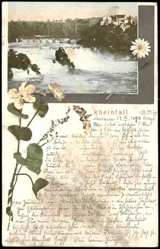 Ansichtskarte Neuhausen am Rheinfall Rheinfall - Blumenornament 1898