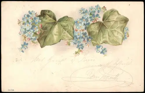 Ansichtskarte  Blumen - Feilchen, Blumenornament 1900