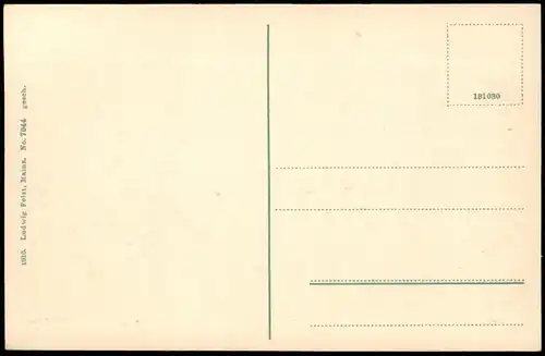 Ansichtskarte Nassau (Lahn) Totalansicht mit Burgberg 1916