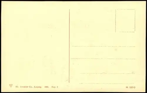 Ansichtskarte Boppard Blick über die Stadt, Rhein Dampfer 1908