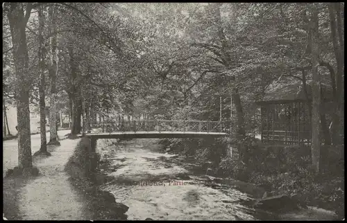 Ansichtskarte Bad Wildbad Enzpartie - Pavillon und Brücke 1906