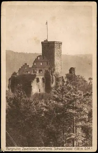 Ansichtskarte Bad Teinach-Zavelstein Burgruine 1925