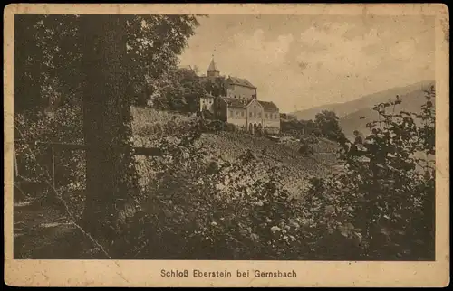 Ansichtskarte Gernsbach Schloß Eberstein - Weinberge 1914
