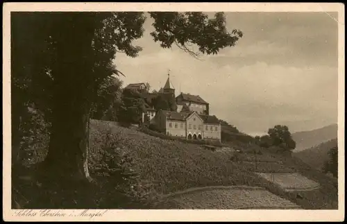 Ansichtskarte Gernsbach Schloß Eberstein Murgtal 1919