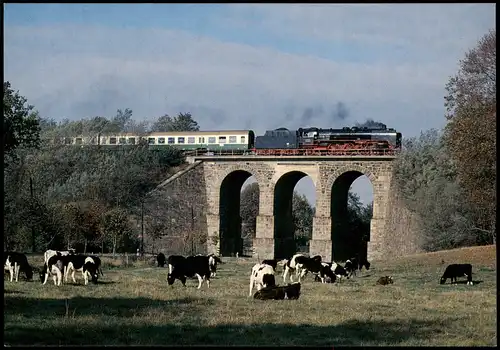 Zoblitz-Reichenbach (Oberlausitz) Schnellzugdampflokomotive 01 137, Brücke 1995