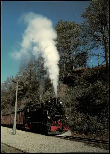 Seifersdorf-Dippoldiswalde Schmalspurbahn Freital-Hainsberg - K Kipsdorf 1995