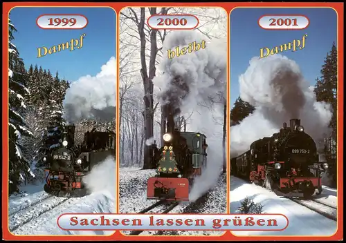 .Deutschland Dampf bleibt Dampf, Sachsen lasen grüßen, Dampflokomitiven 2002