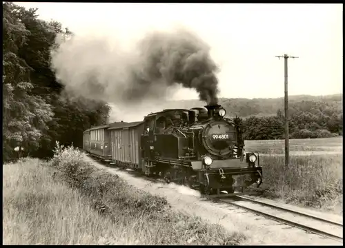 Schmalspurbahn Putbus-Göhren In der Steigung vor Garftitz 1977