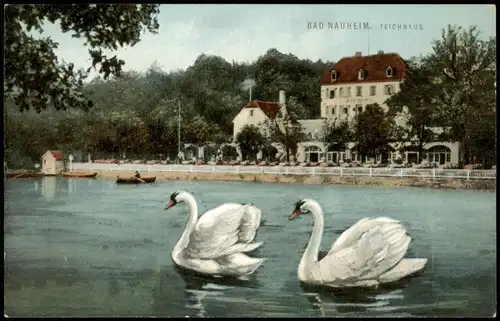 Ansichtskarte Bad Nauheim Teichhaus - Schwäne 1912