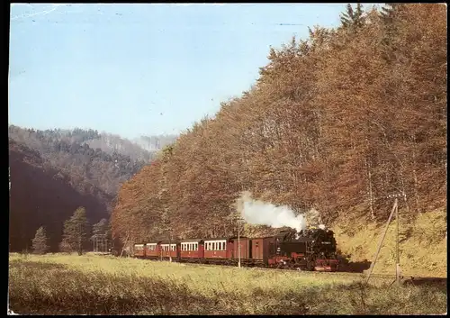 Ansichtskarte  Harzquerbahn / Harzbahn - Bei Netzkater 1991