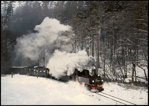 Ansichtskarte  Verkehr/KFZ - Eisenbahn/Zug/Lokomotive - Winterszene 1995