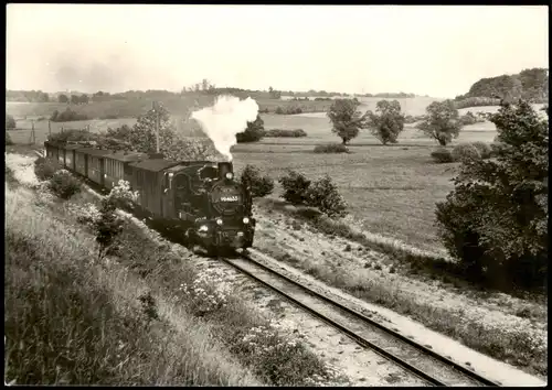 Eisenbahn Schmalspurbahn Putbus-Göhren zw. Serams und Seelvitz 1977