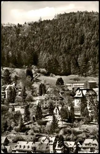 Ansichtskarte Bad Liebenzell Blick auf den Missionsberg 1970