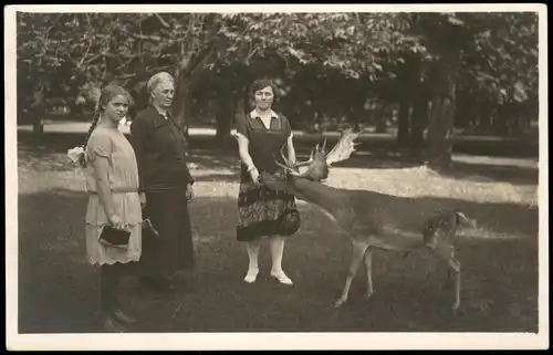 Ansichtskarte Gerolzhofen Frauen und Mädchen - Elch 1953