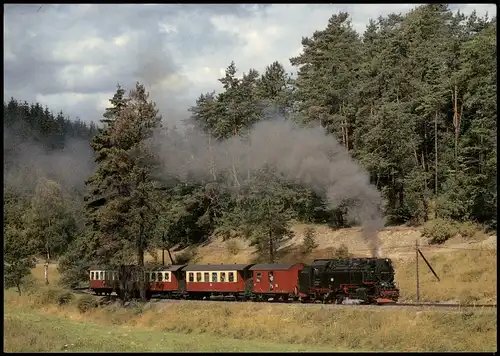 Dampflokomotiven der Deutschen Reichsbahn 99 7233-2  Harzgerode 1990