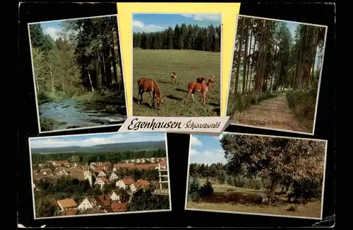 Ansichtskarte Egenhausen Ortsansichten Mehrbildkarte Ort im Schwarzwald 1975