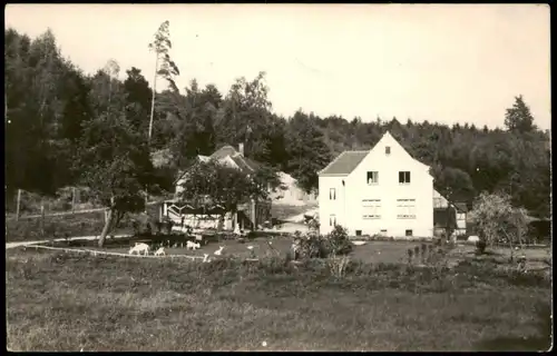 Ansichtskarte Thalbürgel Haus, Restaurant - Tiere, Fotokarte 1956