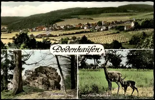 Ansichtskarte Dodenhausen Mehrbild-AK mit 3 Ortsansichten 1960